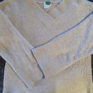 Cream Anthropologie sweater, hi-lo vneck. Warm.